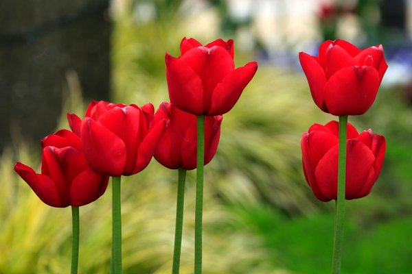 Découvrez le charme des canapés en fer forgé pour votre intérieur